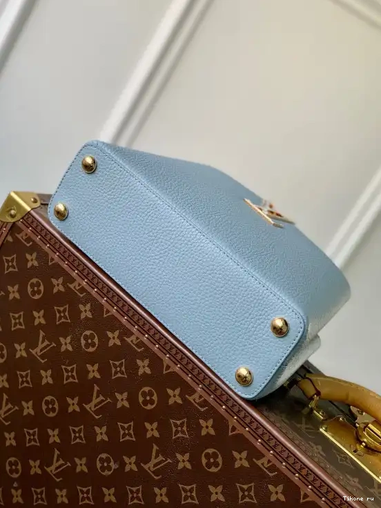 Affordable LOUIS VUITTON CAPUCINES BB 0503
